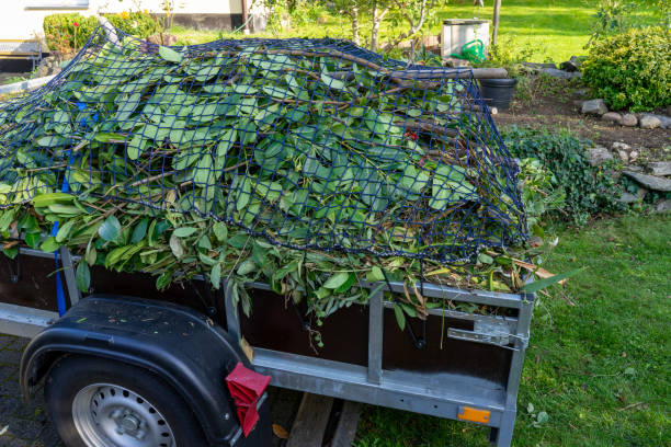 Best Scrap Metal Removal  in Carbon Cliff, IL